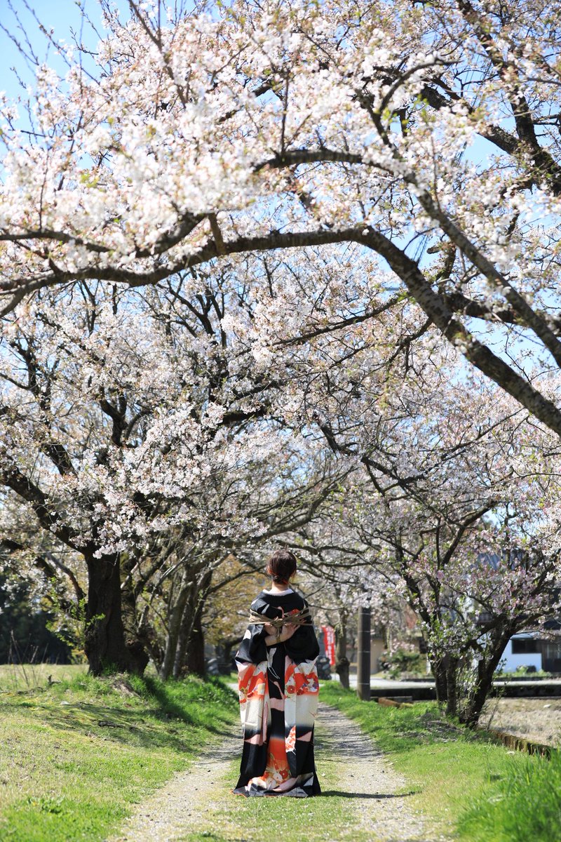 にこ( nico ) tweet media