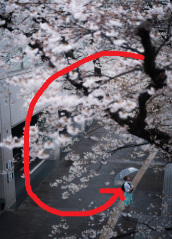 カルンカルン P tweet media