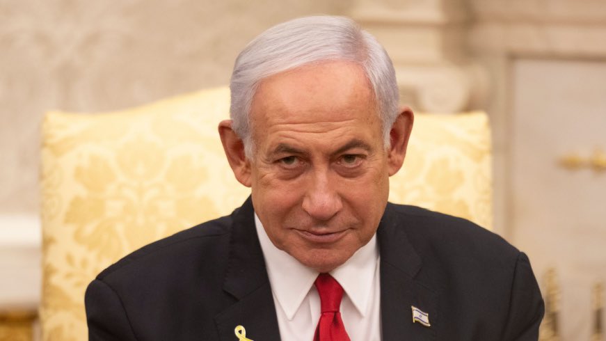 Whale Insider tweet media