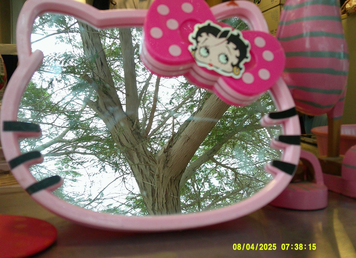 نَجْم ⋆⭒˚.⋆ tweet media