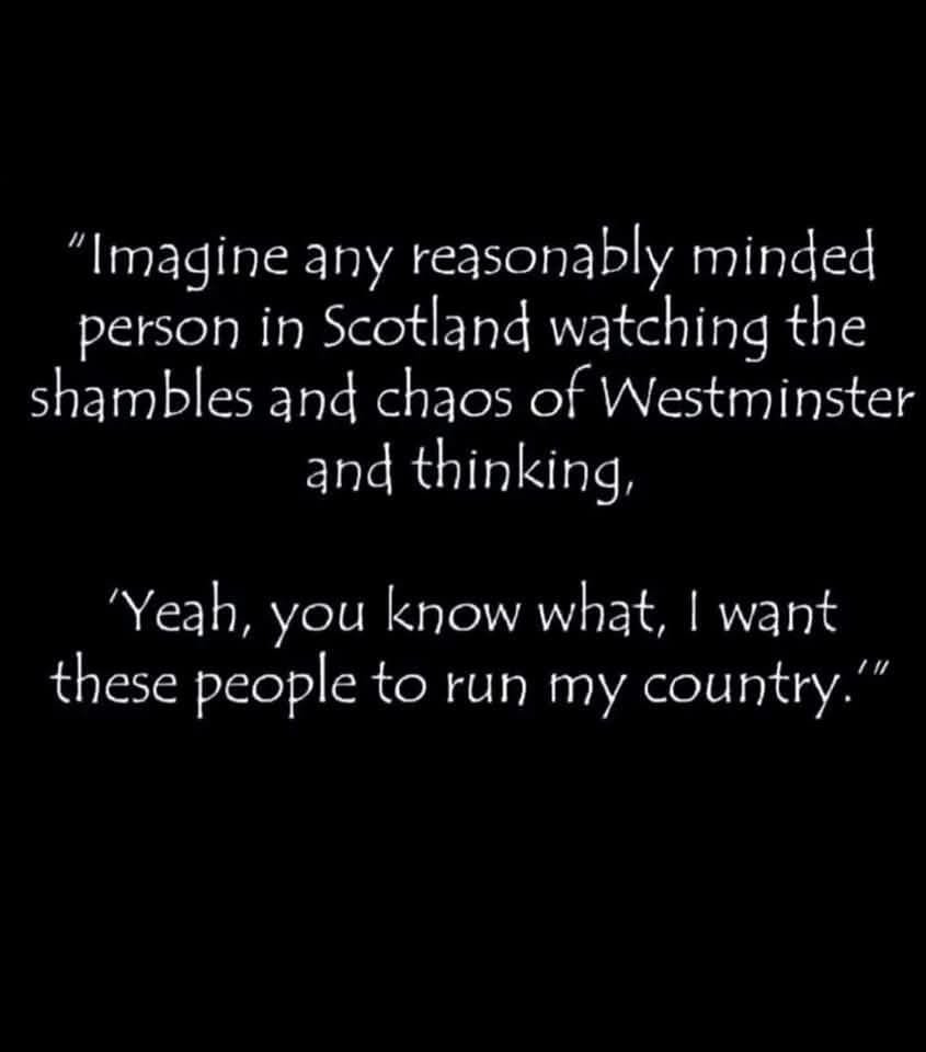 The Indy Poet tweet media