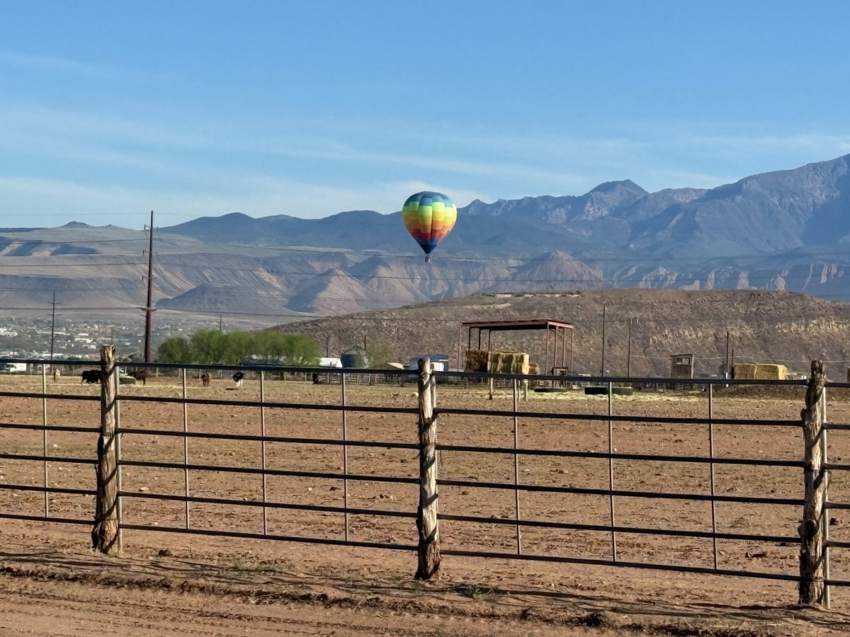 Rachel Aziani tweet media