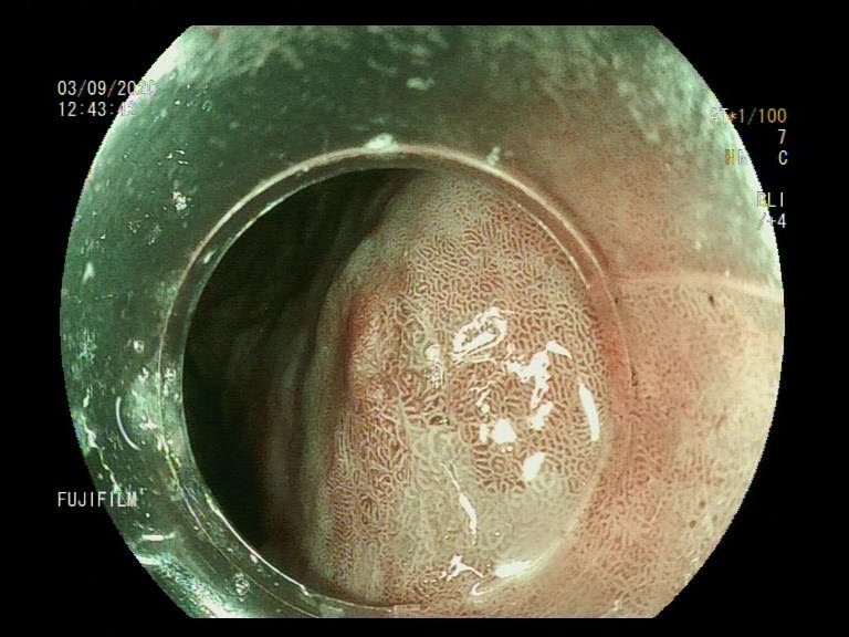 Aleksandar Gavric tweet media