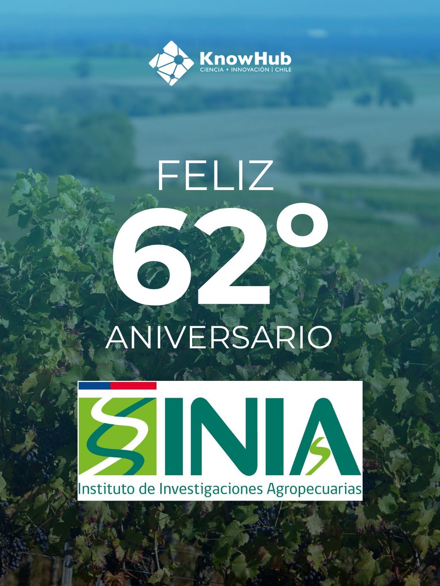 Know Hub Chile tweet media