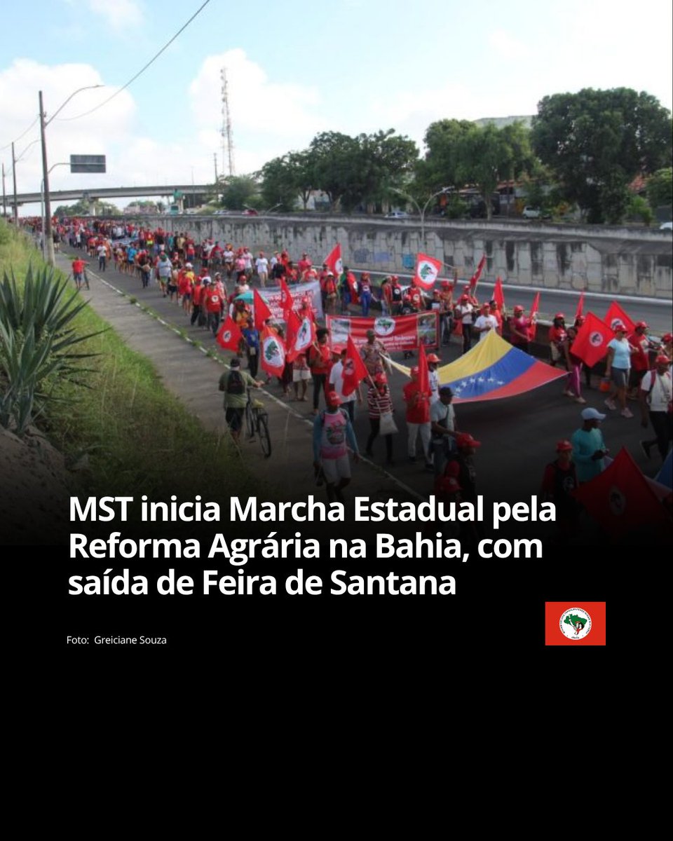 MST Oficial tweet media