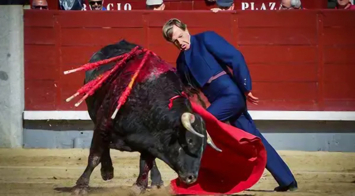 LAURAGALAN81's tweet photo. 🏆 El torero Curro Vázquez, galardonado con el Premio Nacional de Tauromaquia 2025  "por una vida entera de compromiso con la tauromaquia".

¡ENHORABUENA MAESTRO!

#Tauromaquia 
#Toros
#SomosCultura https://t.co/5w54npTBqu