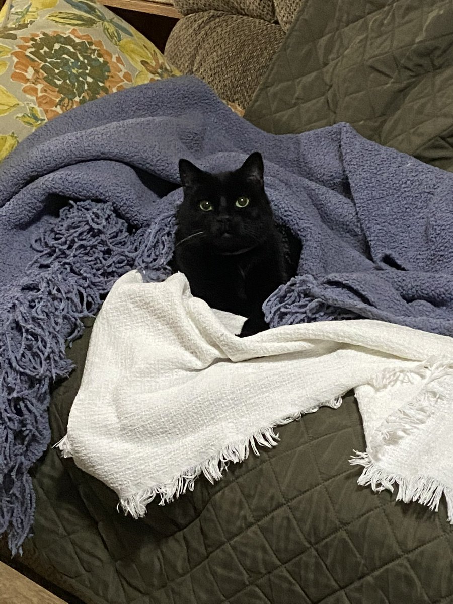 alina⁷ is seeing BTS🇬🇹 tweet media