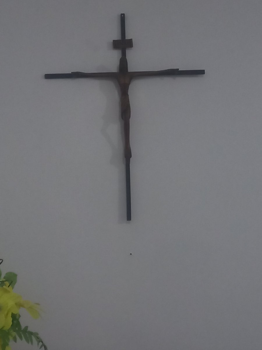 kat 🍫 tweet media