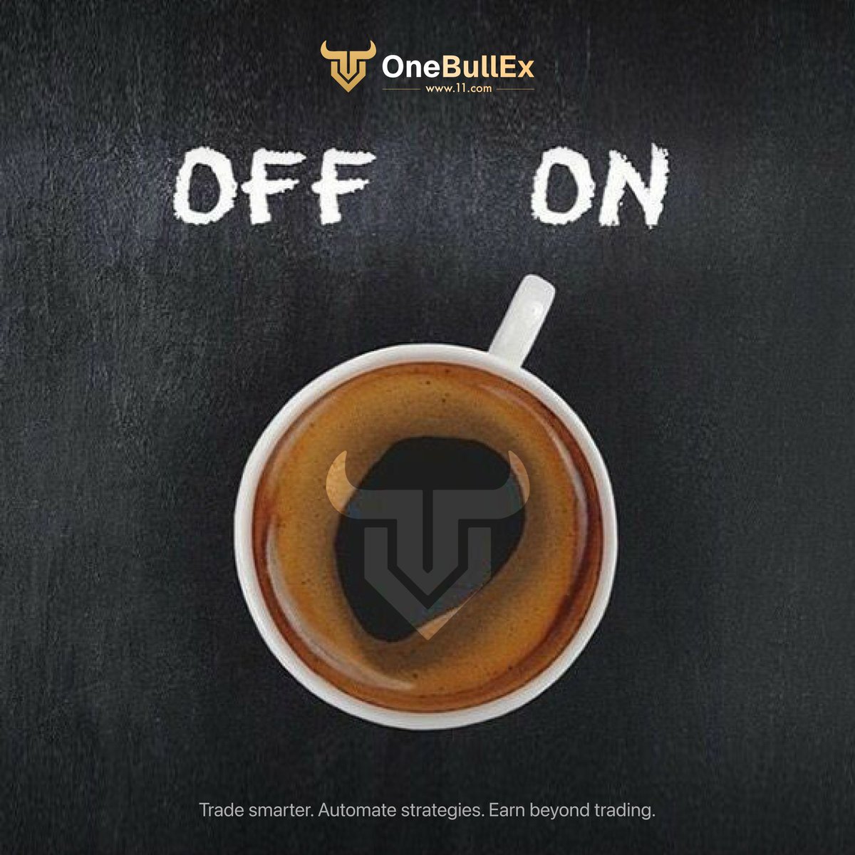 OneBullEx Brasil tweet media