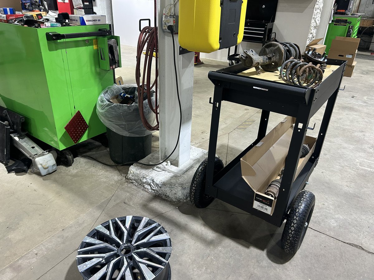 Elspeth Mizner tweet media