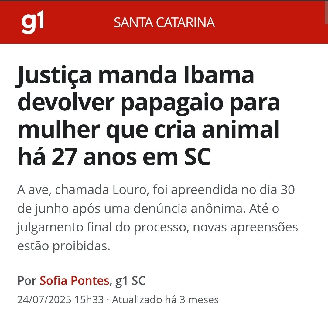 Madeleine Lacsko tweet media