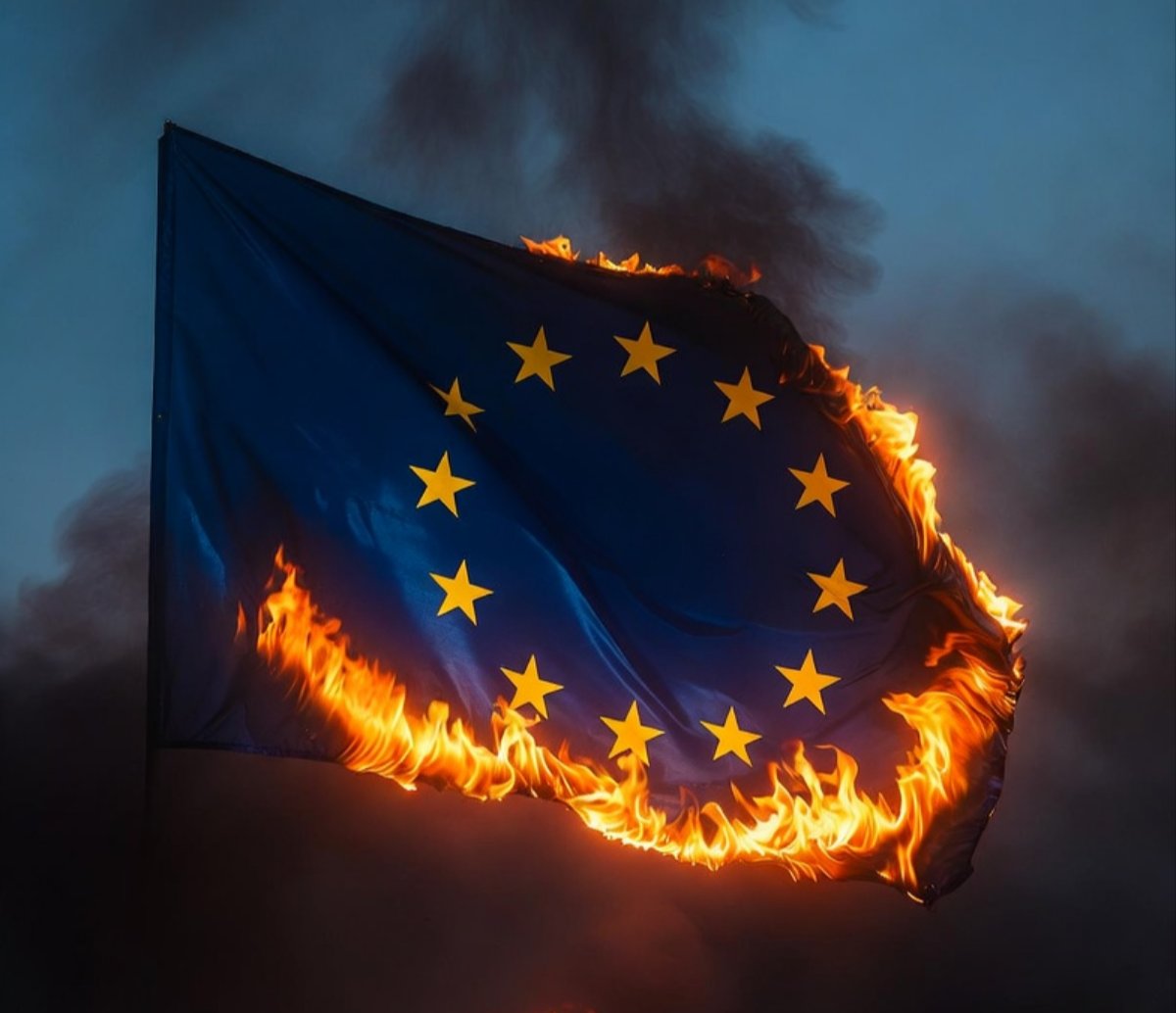 Nasobuco (2 vida) tweet media