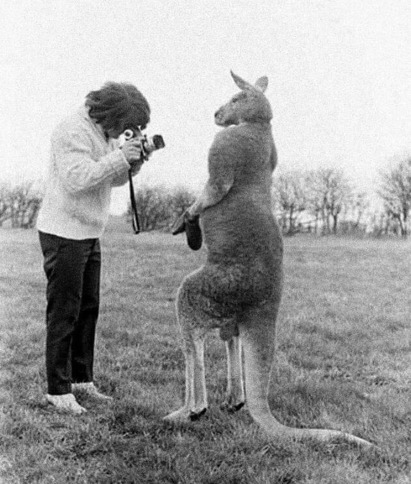 Things From the Past tweet media