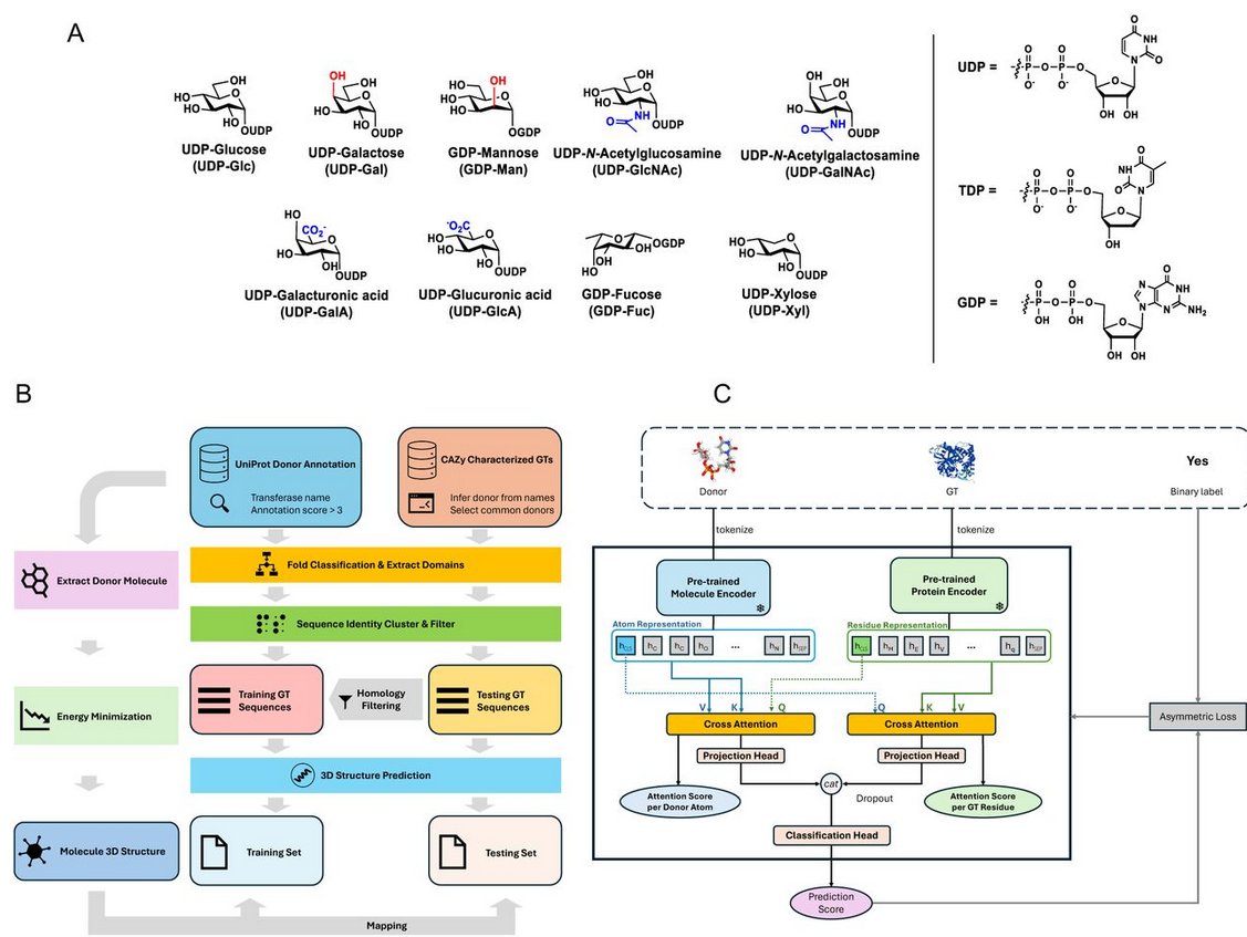 BioFGreat tweet media