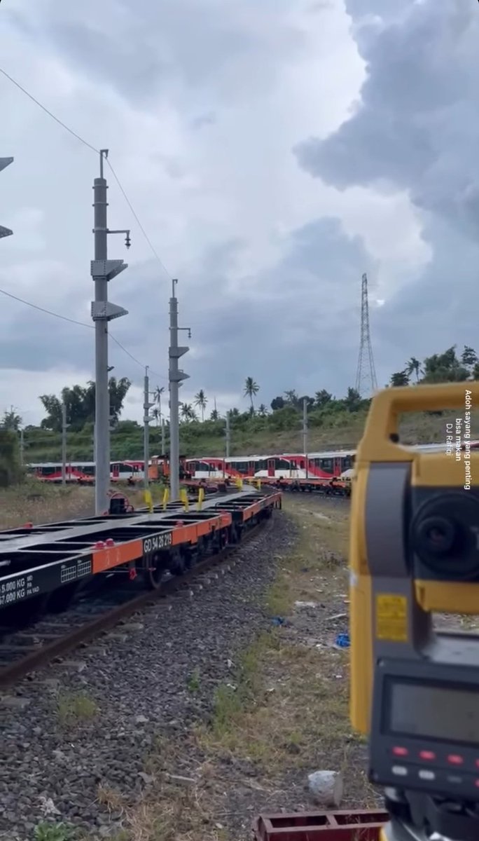 バガス tweet media