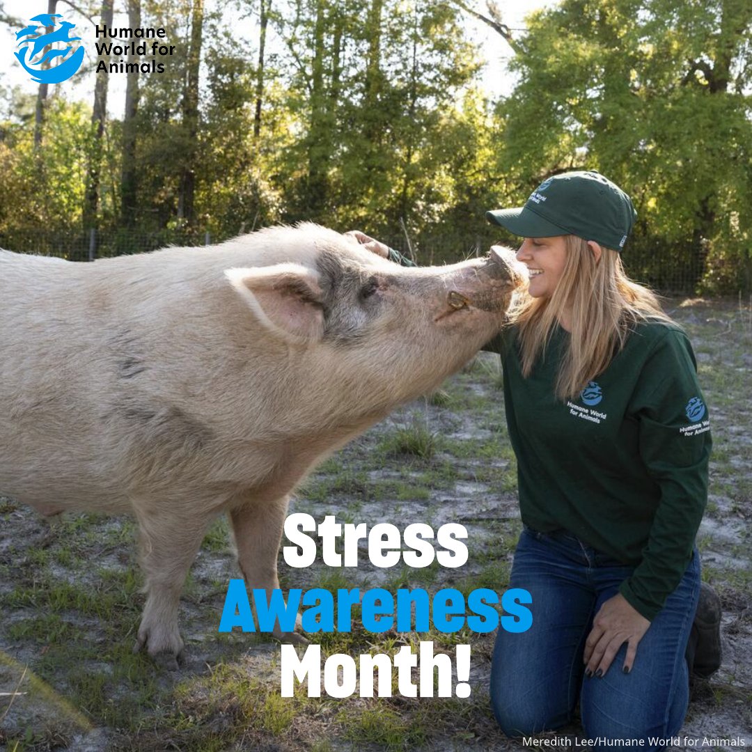 Humane World Farm Animals tweet media