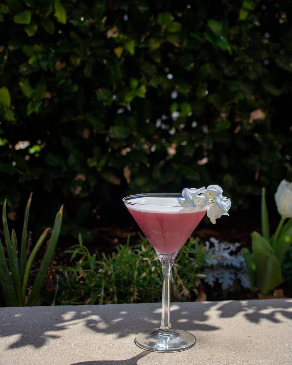 Oklahoma City Museum of Art tweet media