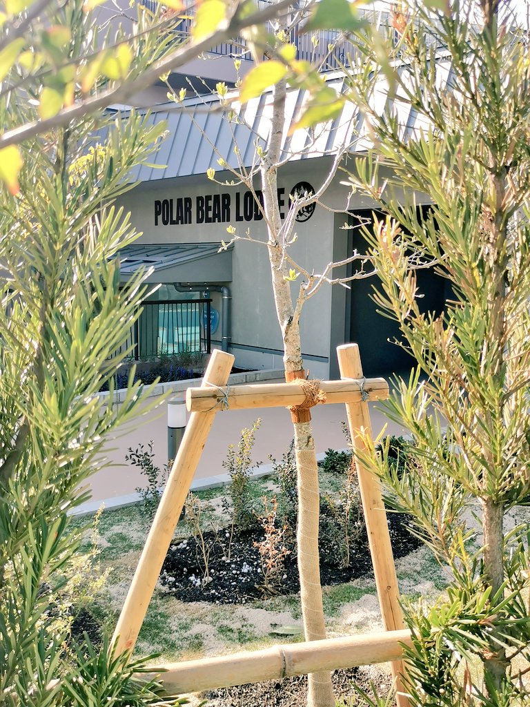 チャン腹🦦🦦🦦 tweet media