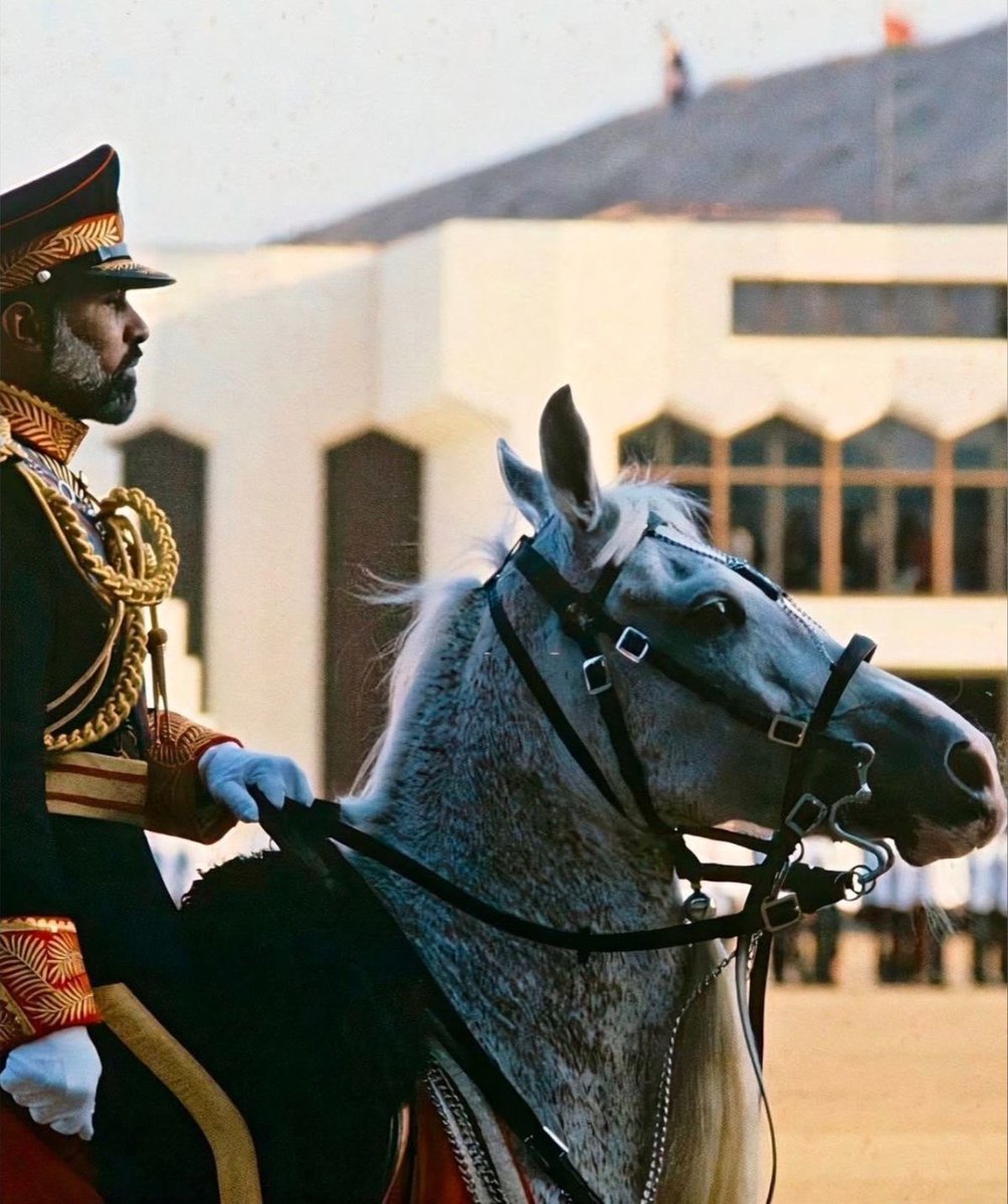 مِــدرار ‏ᴍʀ tweet media