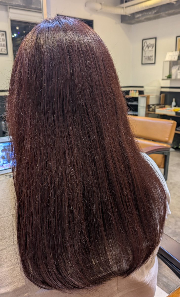 インコサン(3ө3) tweet media