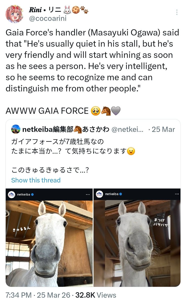 𝑹𝒊𝒏𝒊 • リニ 🐰🍪🐾 tweet media