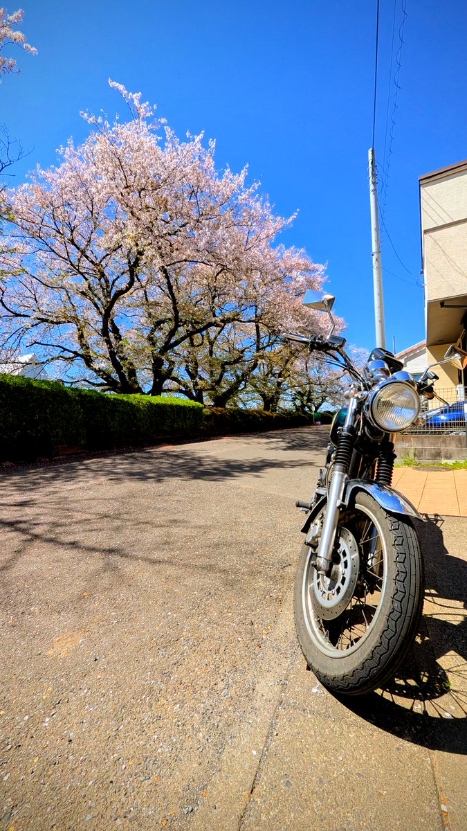 Well Bottom Radio tweet media