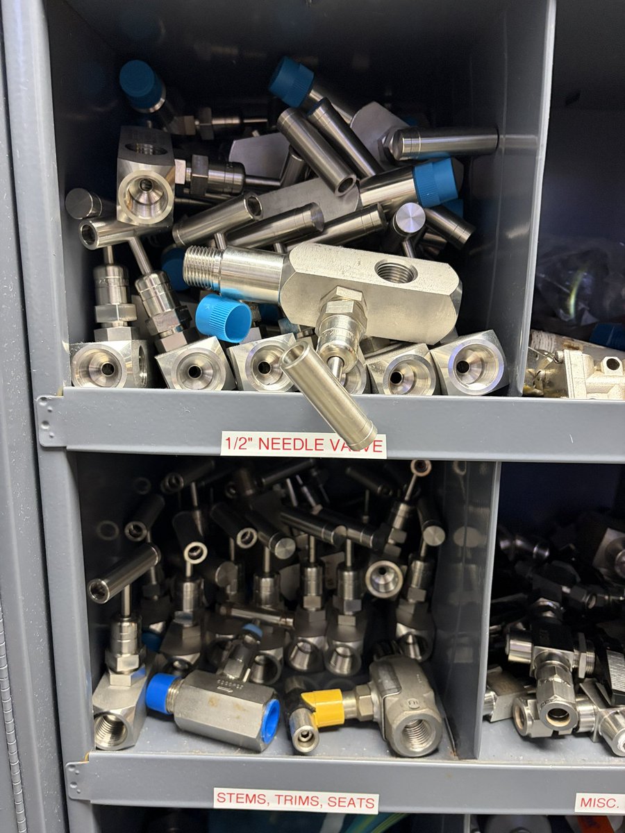 Squirrel Matador tweet media