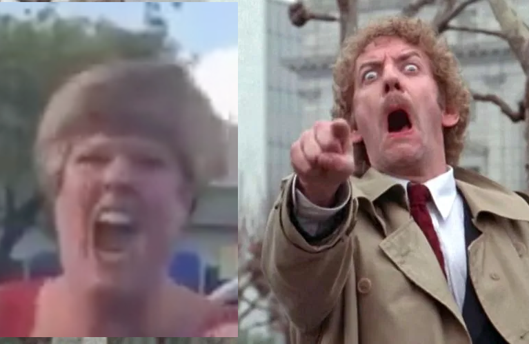 Southpaw tweet media