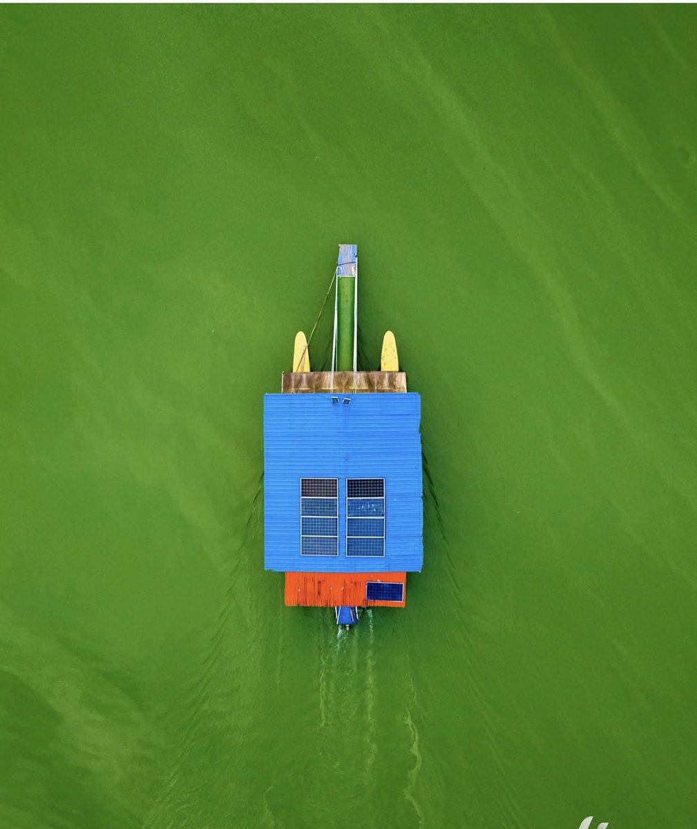 Deyanira Gómez tweet media