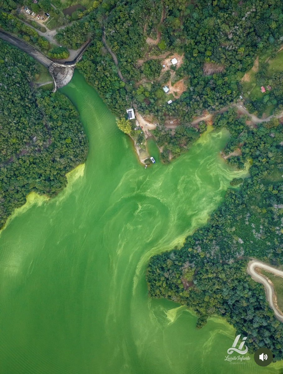 Deyanira Gómez tweet media