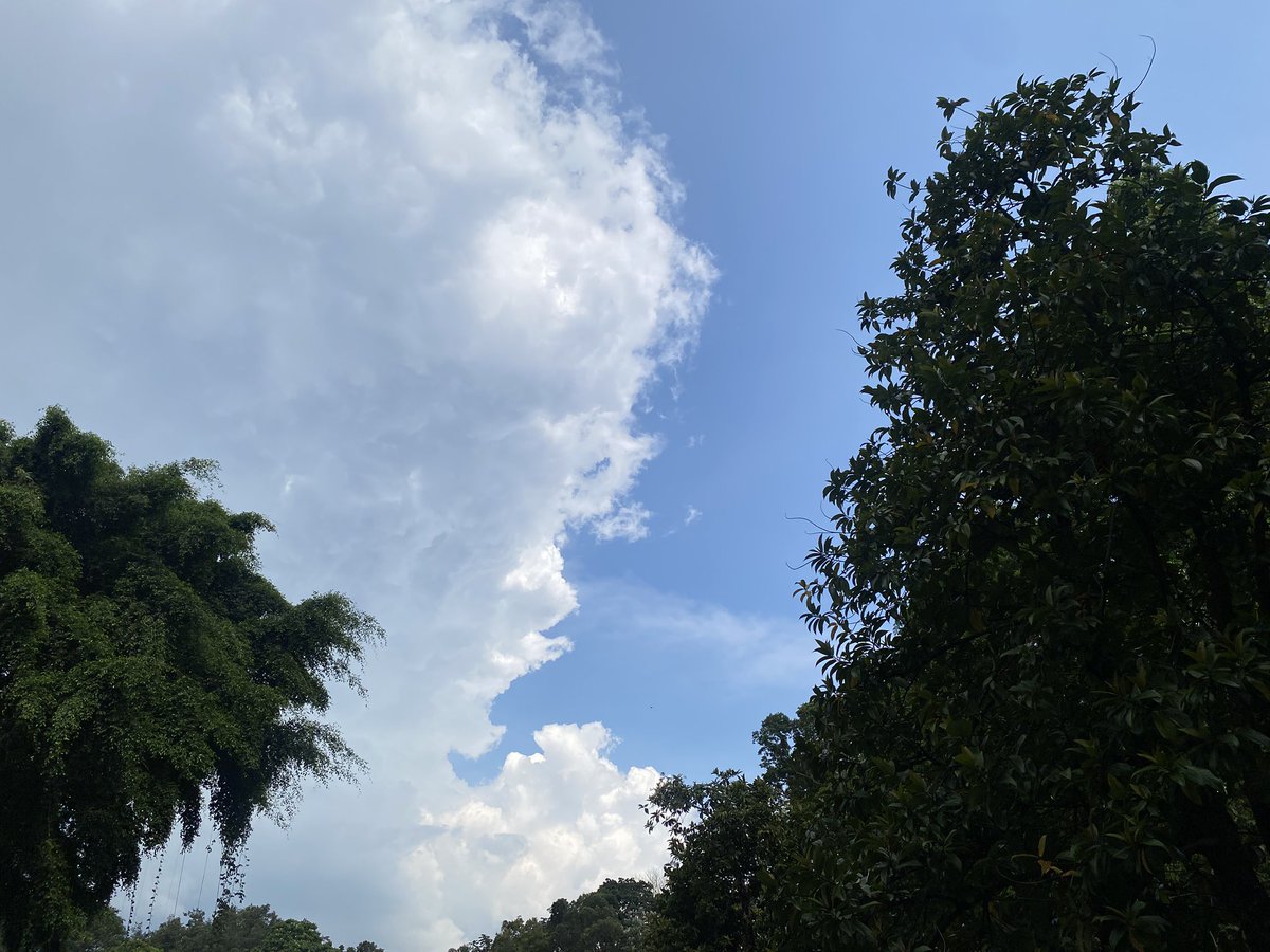 kay #dykekuntansi tweet media