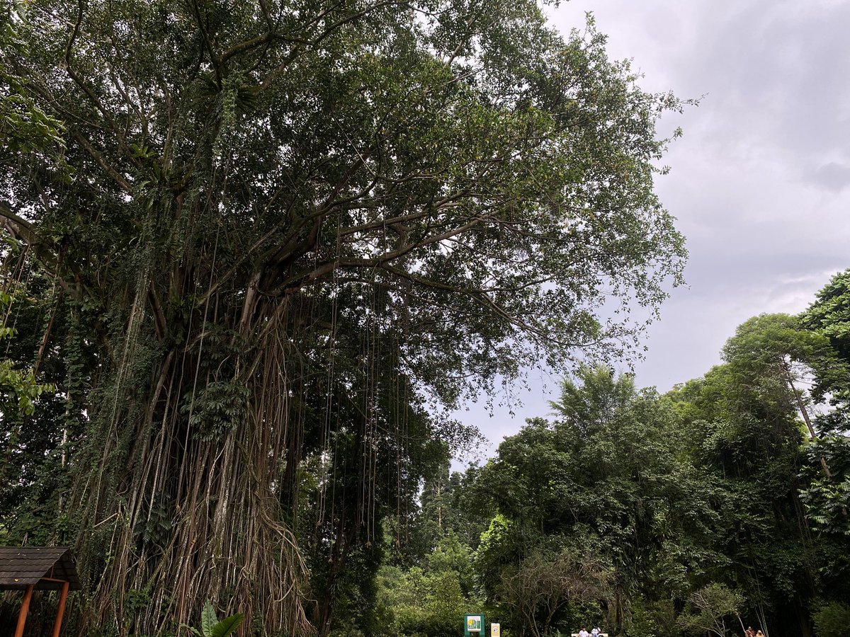 kay #dykekuntansi tweet media