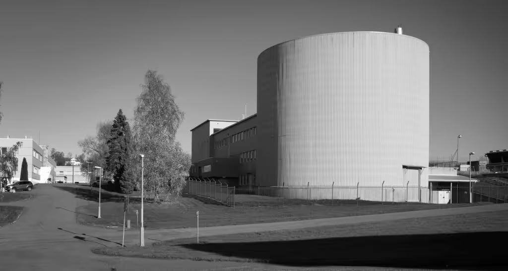 Roald Ribe tweet media