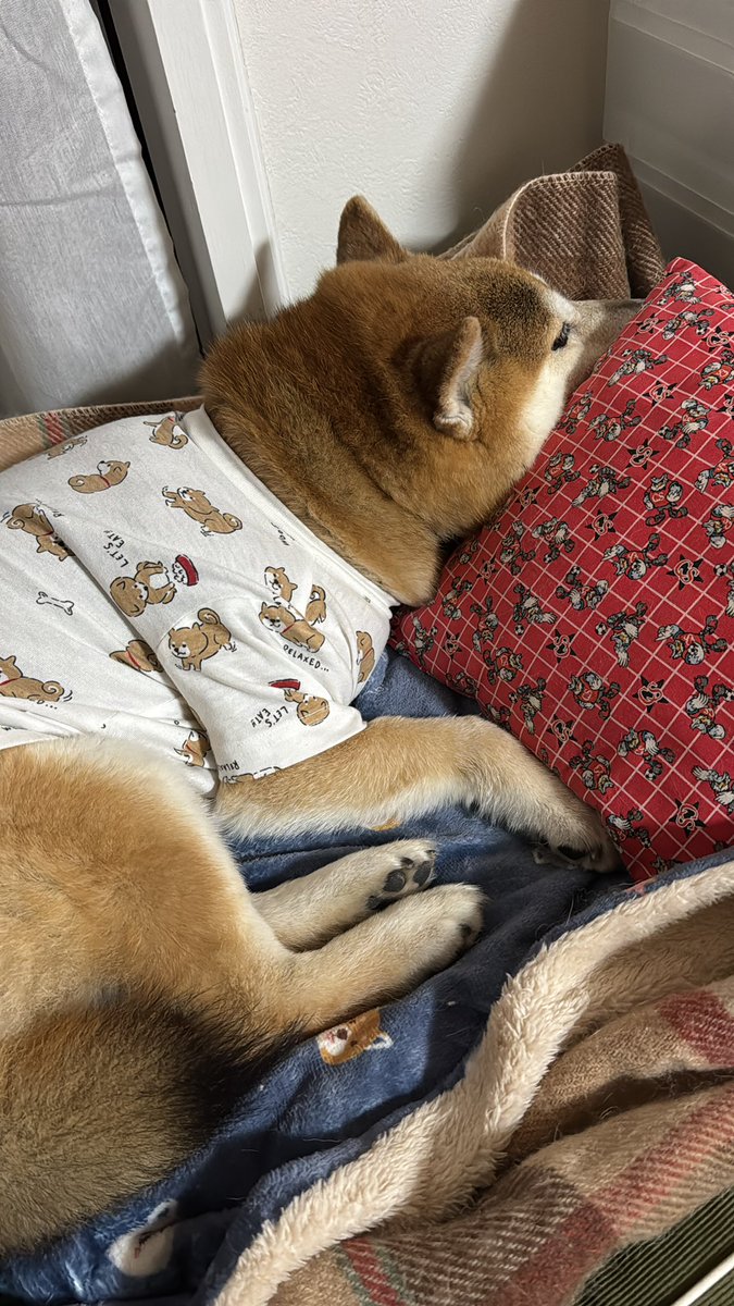 むこら tweet media