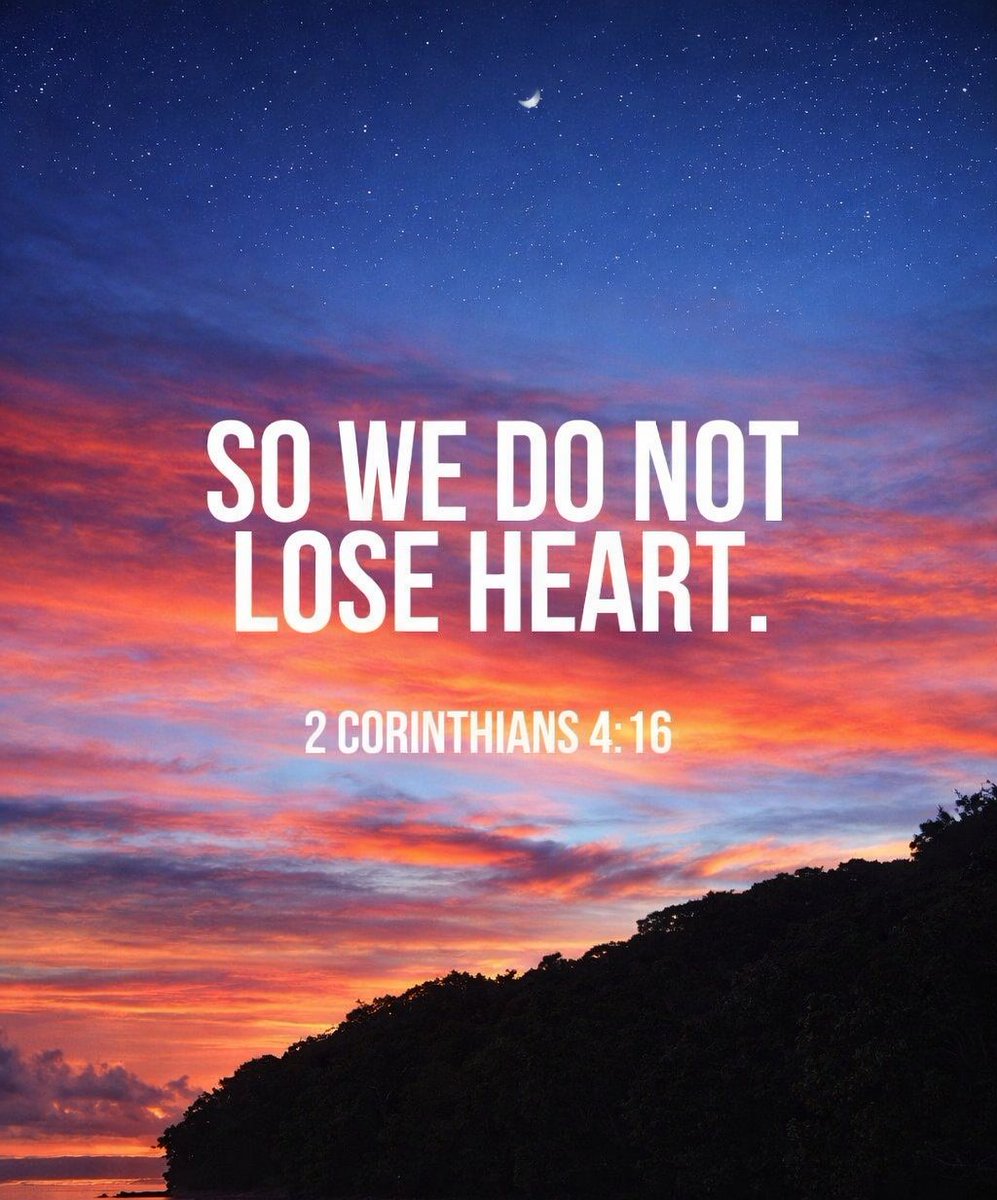 The Bible tweet media