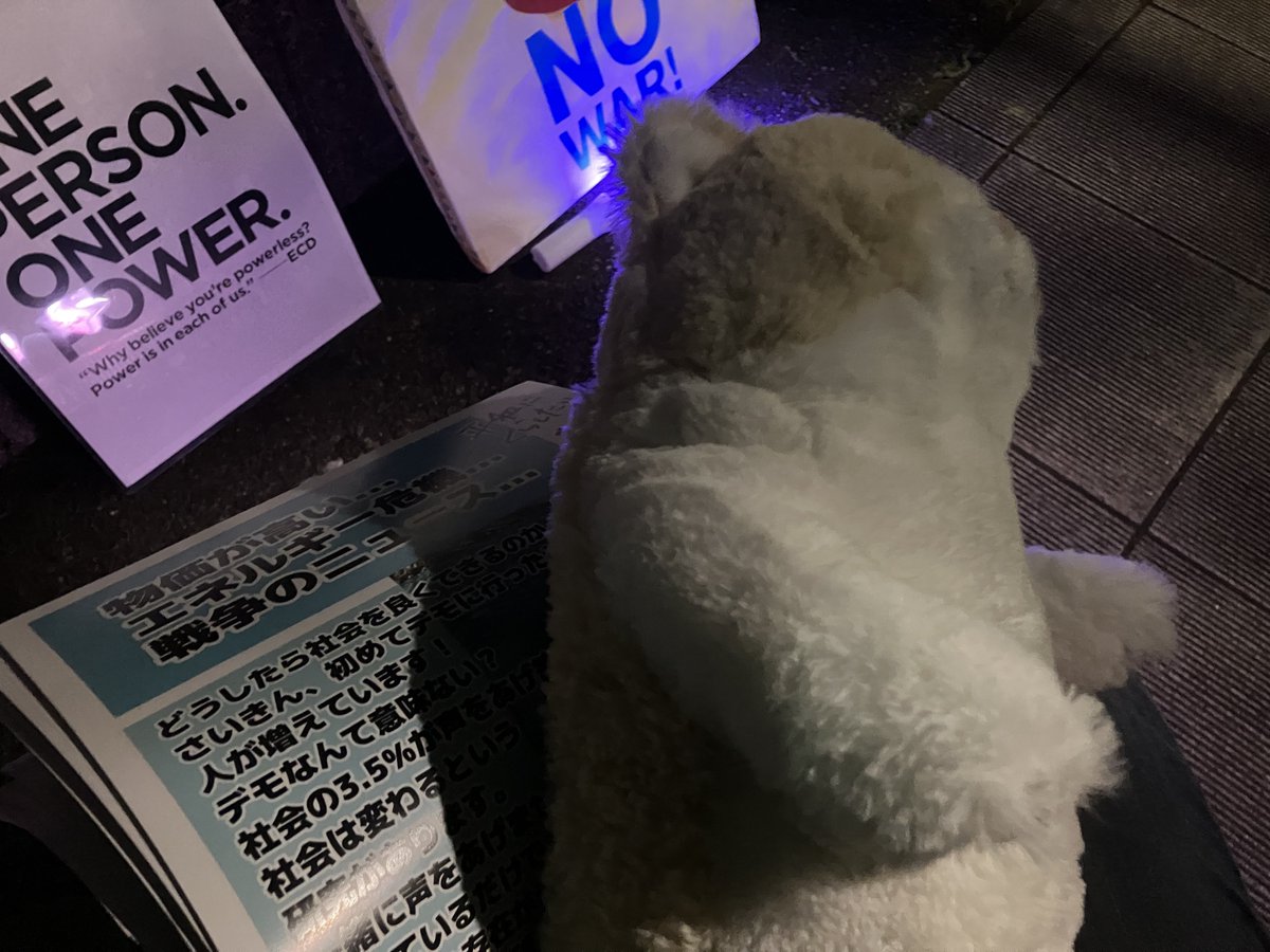 永月🍉#0328新宿平和フェス🐰🦊ZINE販売中🟨⬜️🟪⬛️ tweet media