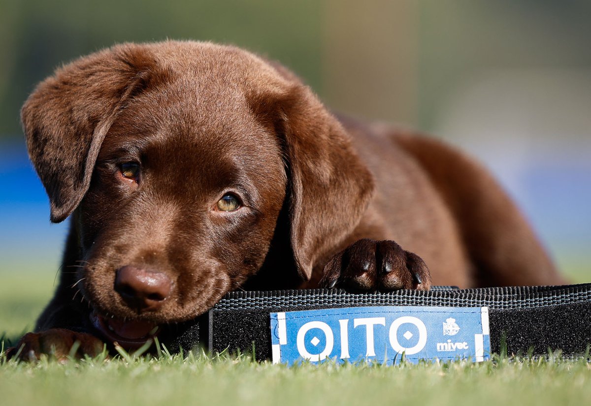 Arizmenda 🪄🇹🇷 tweet media