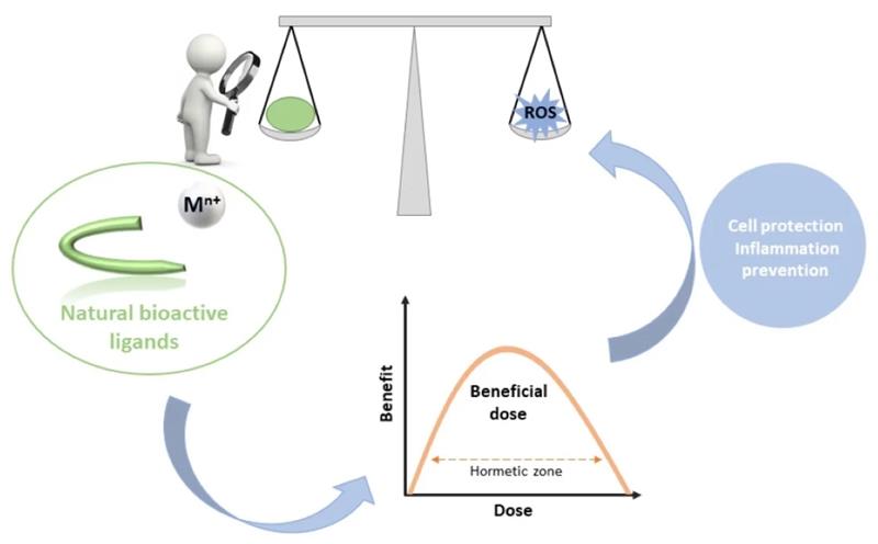 IJMS_MDPI's tweet image. 💡Check out our article related to the Hot Topics "#Curcumin"

📕Enemies or Allies? Hormetic and Apparent Non-Dose-Dependent Effects of Natural Bioactive Antioxidants in the Treatment of Inflammation

🧑‍🔬Uxia Barreiro Sisto, et al

🔗mdpi.com/1422-0067/25/3…

#OpenAccess #MDPIIJMS