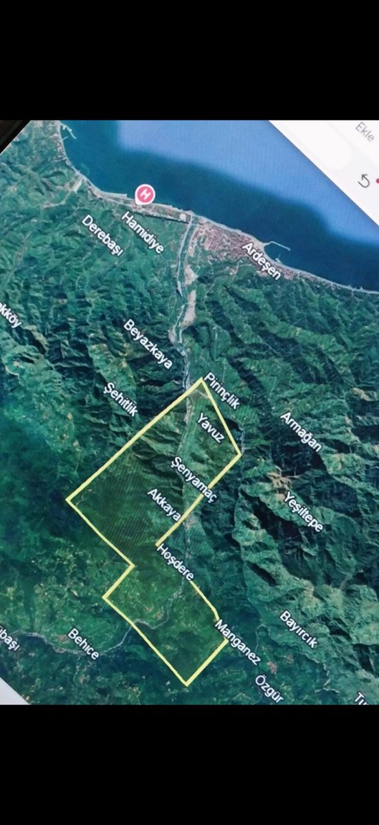 Saltuk Deniz tweet media