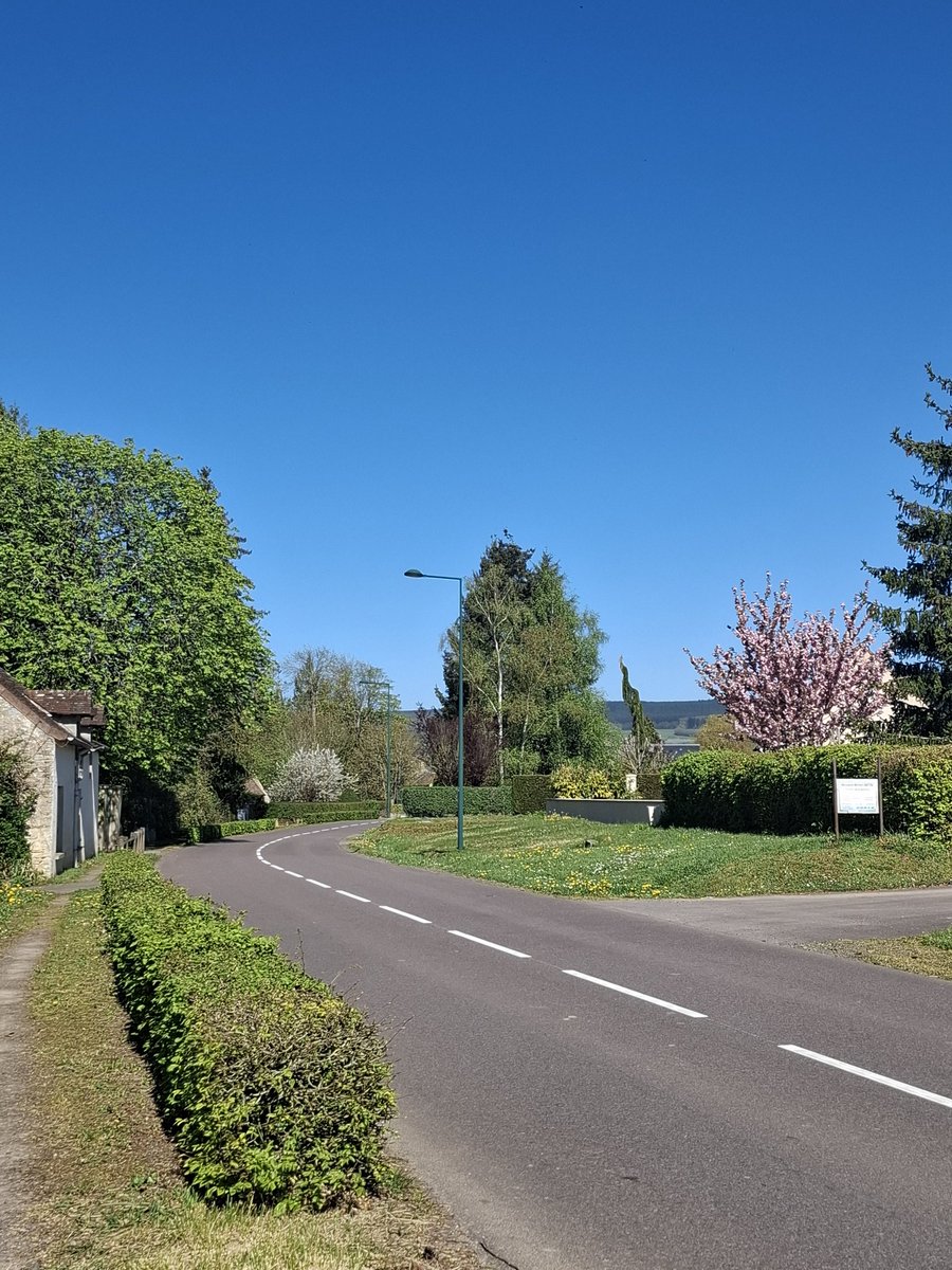 #krazy★vamp tweet media