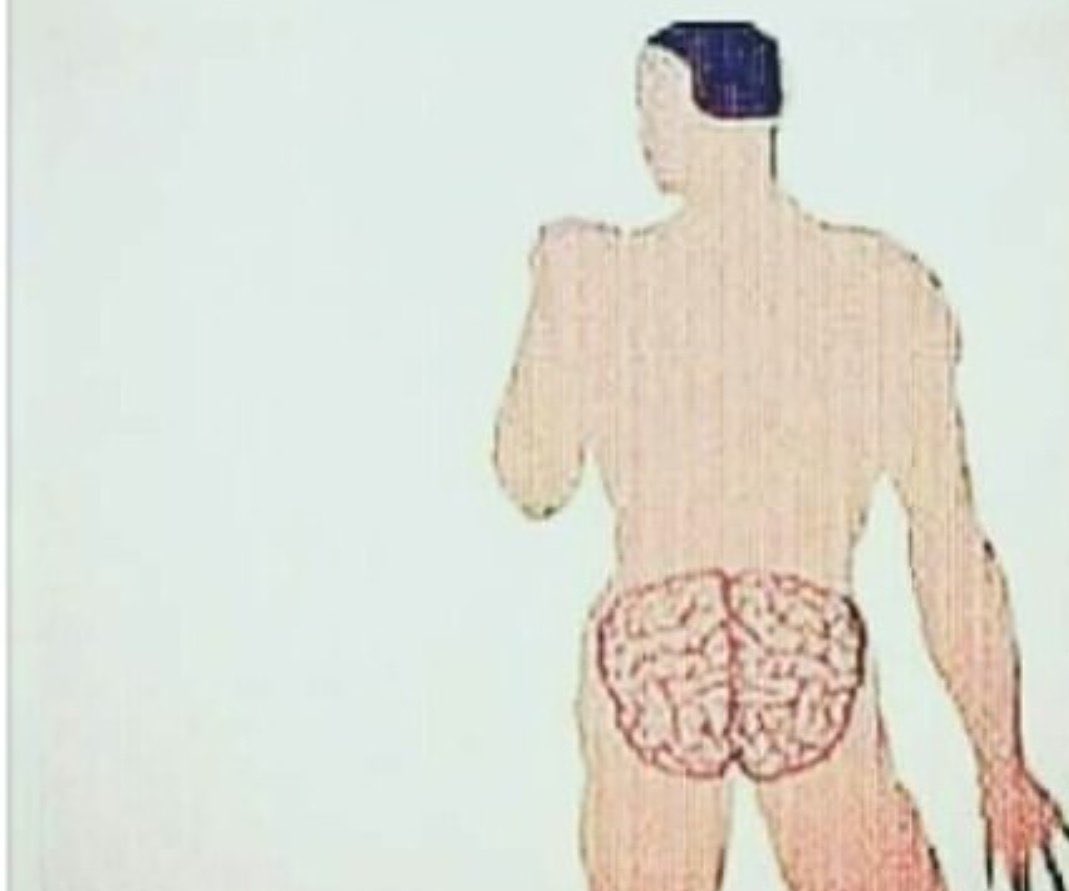 Samipaşa tweet media