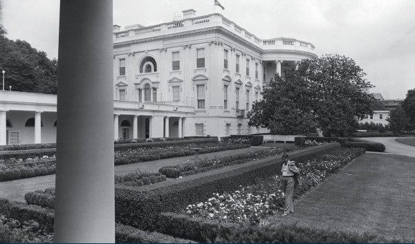 White House History tweet media