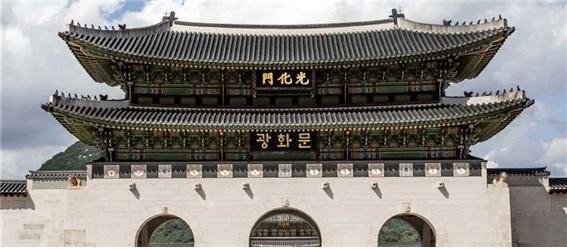 티벳여우 tweet media