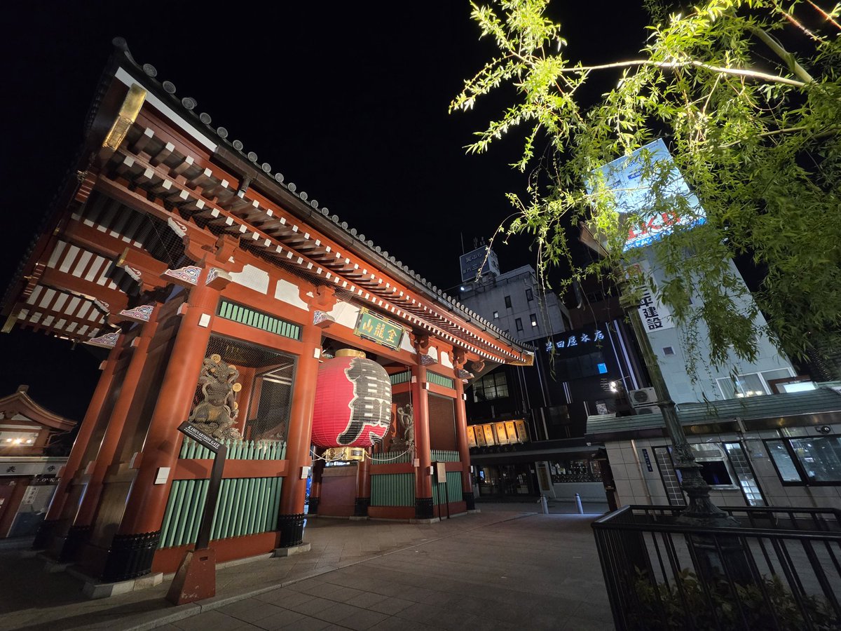 Mosha Winter ☕❄ Fantasy Author 🐉🗡 tweet media