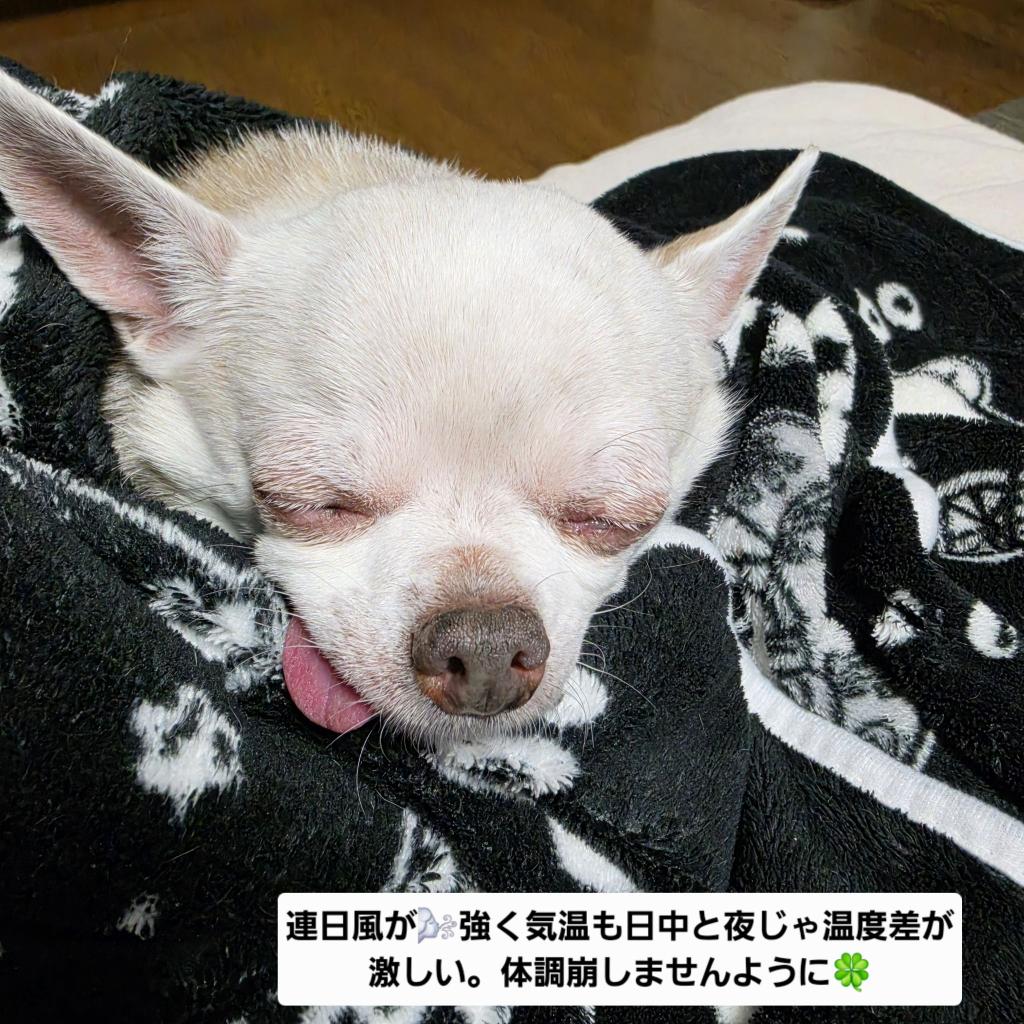 Hair Salon BLONDE Group tweet media