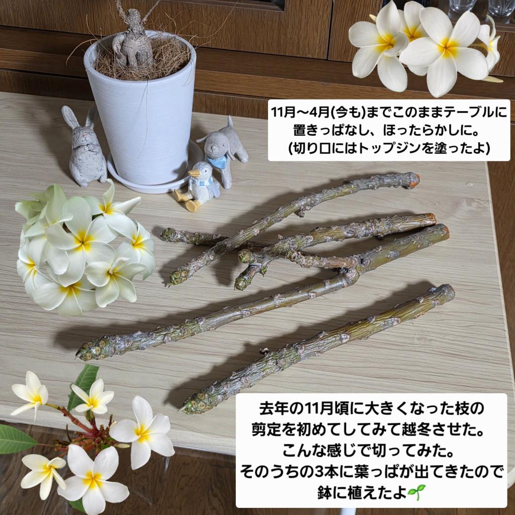 Hair Salon BLONDE Group tweet media