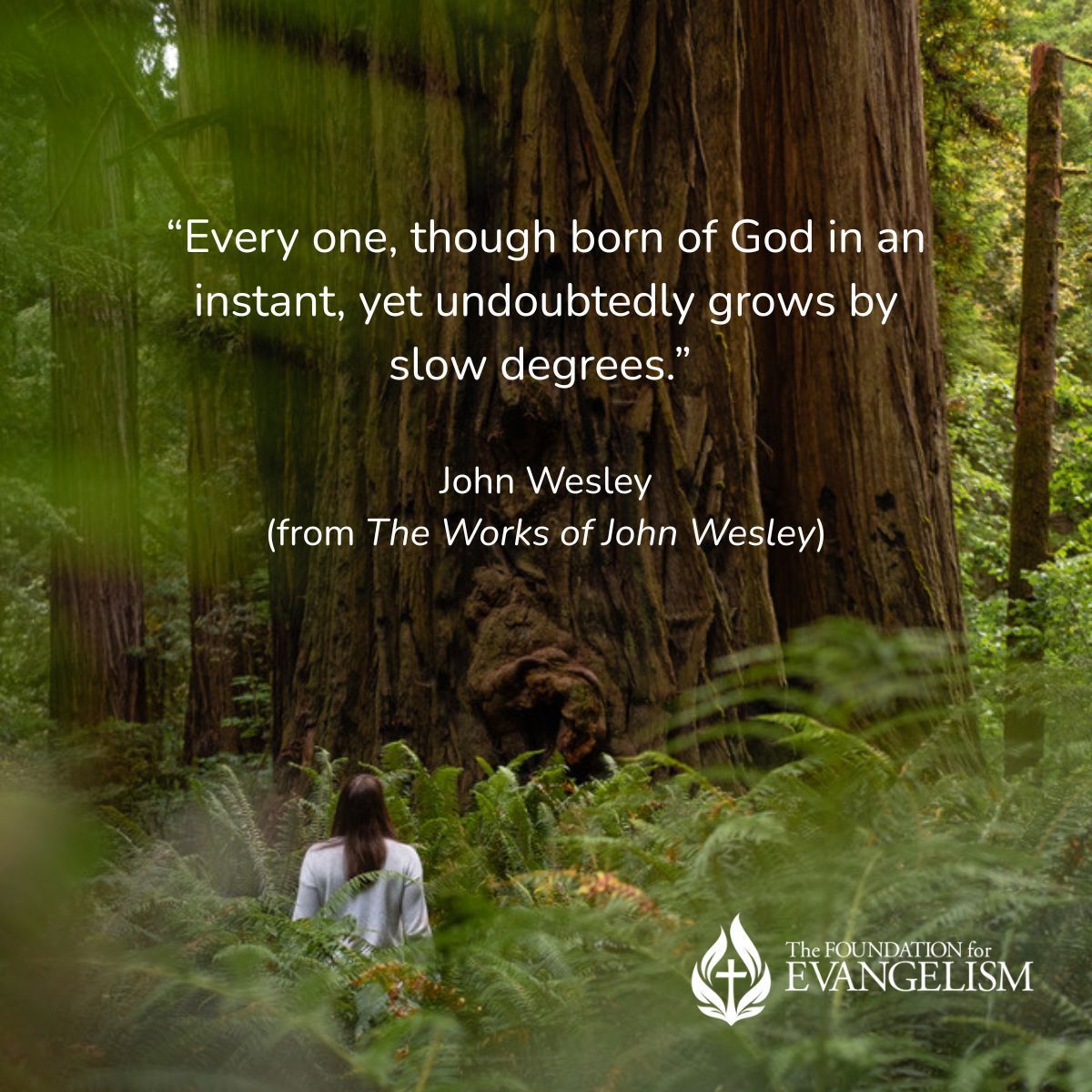 The Foundation for Evangelism tweet media