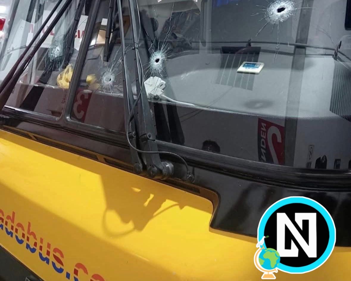 Noticias San Luis Potosi tweet media