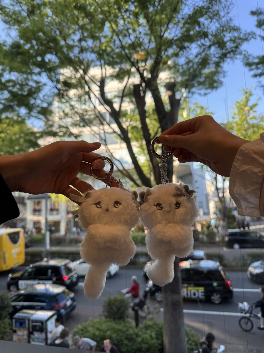 中西香菜 tweet media