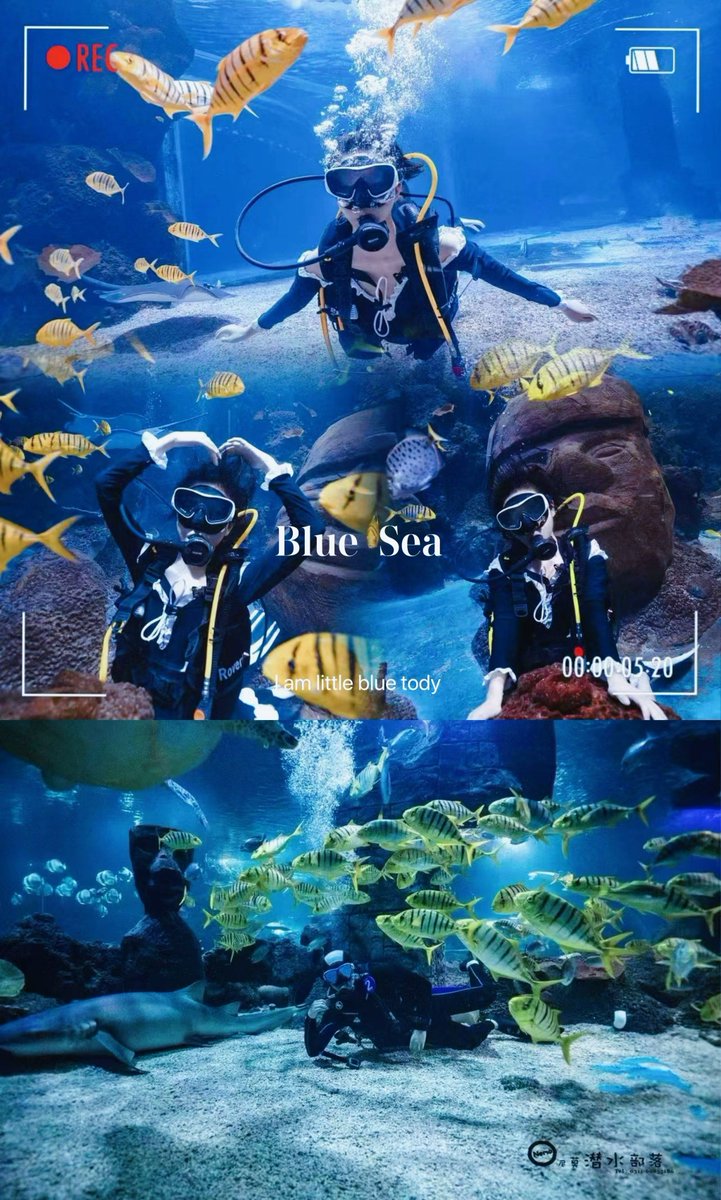 chad fabular tweet media